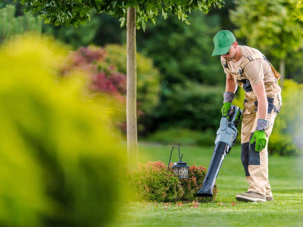 outdoor strata cleaning