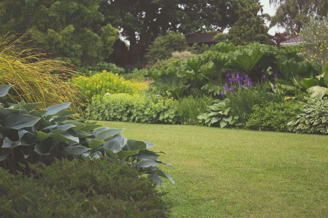 neat garden